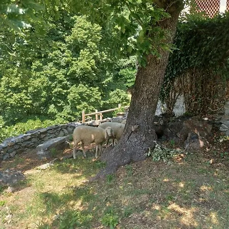 Gospodarstwo agroturystyczne Open Cascina