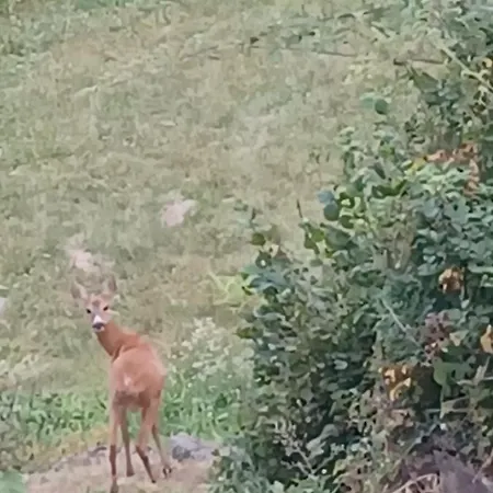 مزرعة للإقامة Open Cascina *