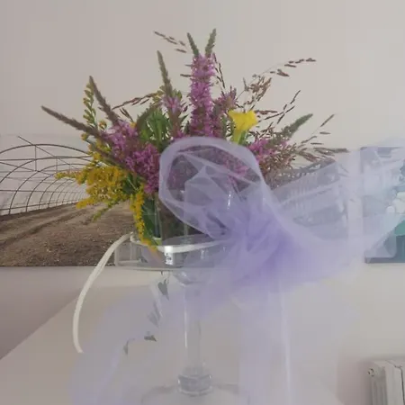 مزرعة للإقامة Open Cascina