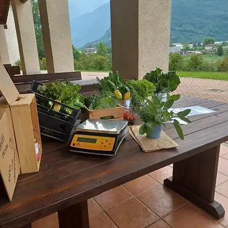Open Cascina Colico