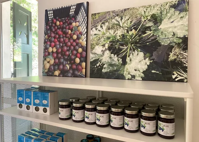 Open Cascina Колико