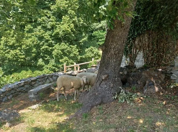 Фермерский дом Open Cascina