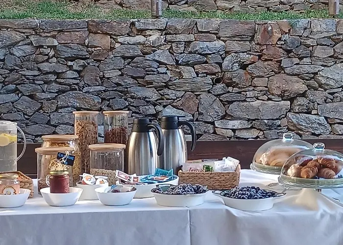 Open Cascina Колико