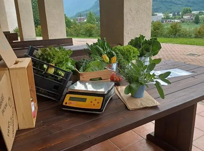 Open Cascina Колико