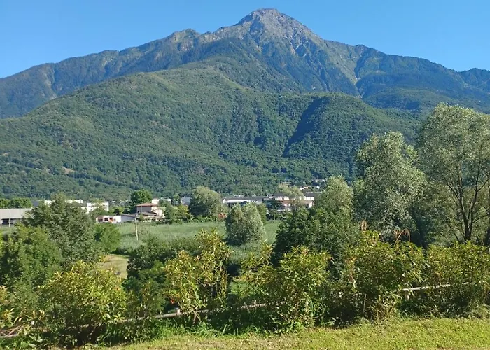 Open Cascina Колико