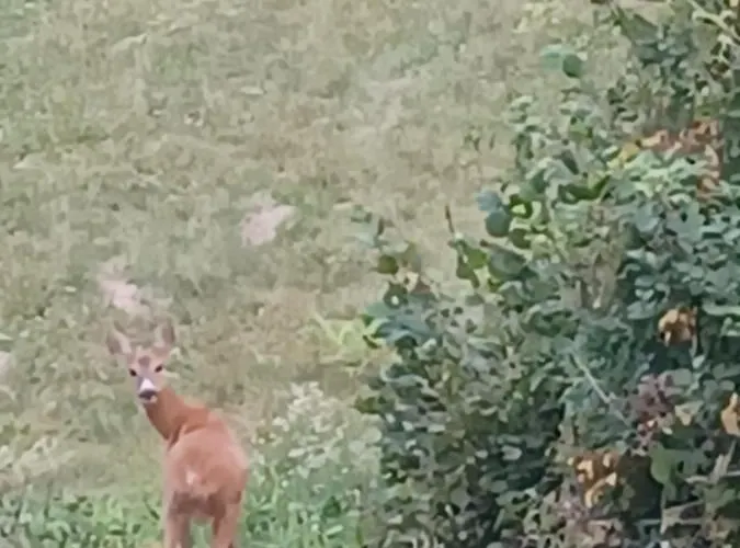 בית חווה Open Cascina *