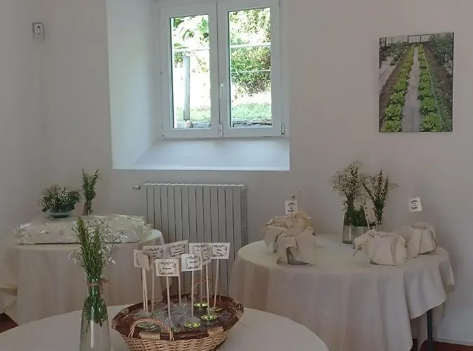 Open Cascina Колико