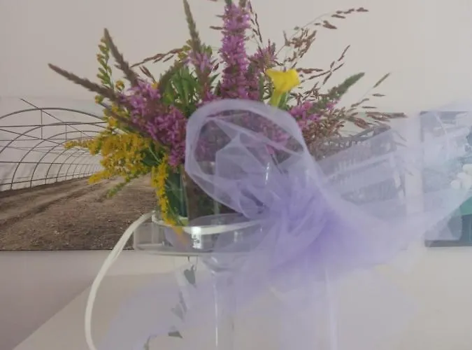 Фермерский дом Open Cascina