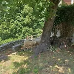 Alloggio per agriturismo Open Cascina